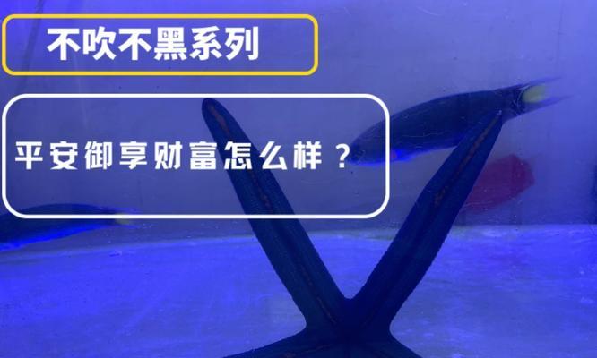 Oracle系统数据复制技术？这里为你详解一下~